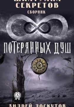 Книга Шкатулка секретов: 8 – потерянных душ – Лоскутов Андрей обкладинка 3