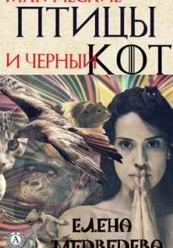 Книга Магические птицы и чёрный кот – Медведева Елена обкладинка