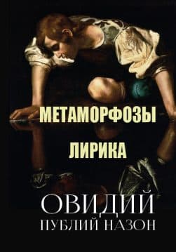 Книга Метаморфозы. Лирика Овидий обкладинка 3
