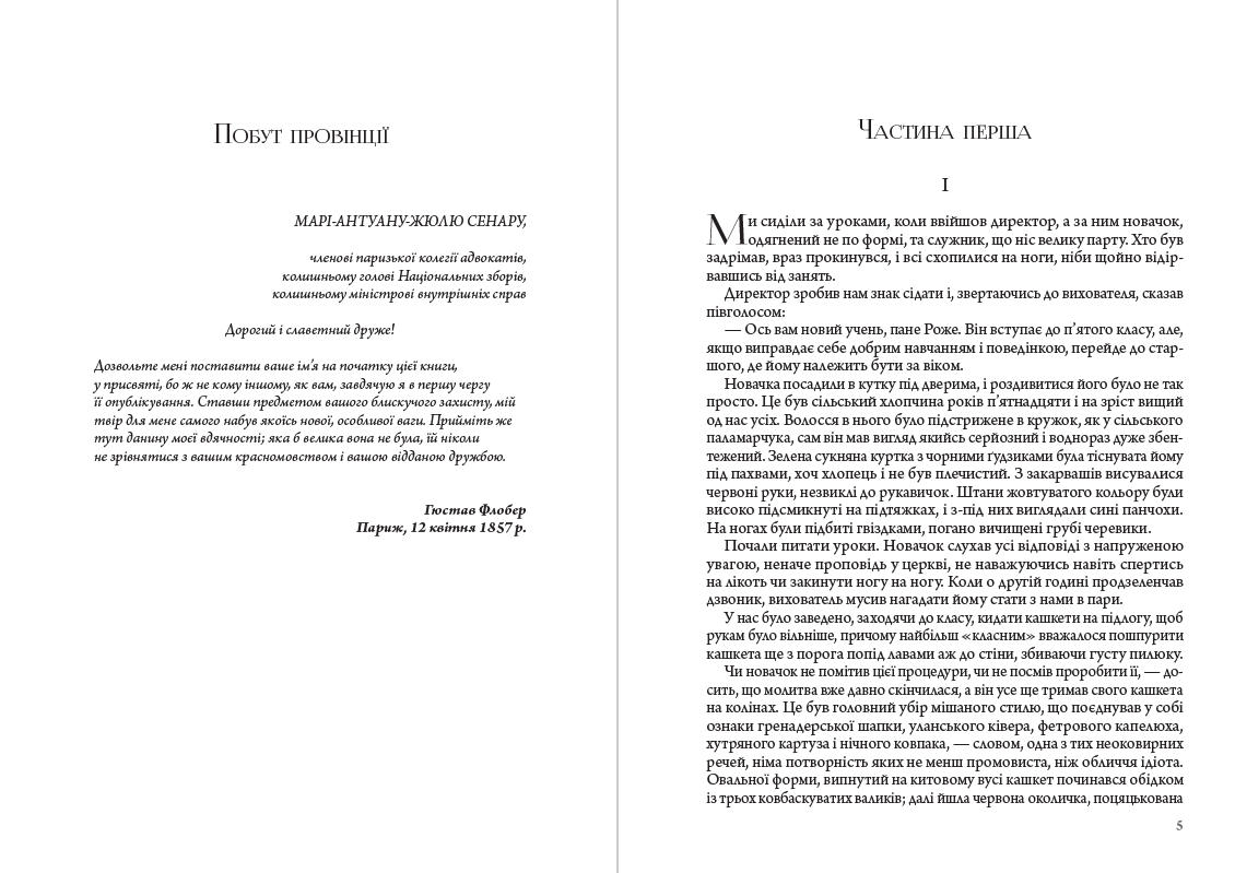 Книга Пані Боварі Гюстав Флобер обкладинка 5