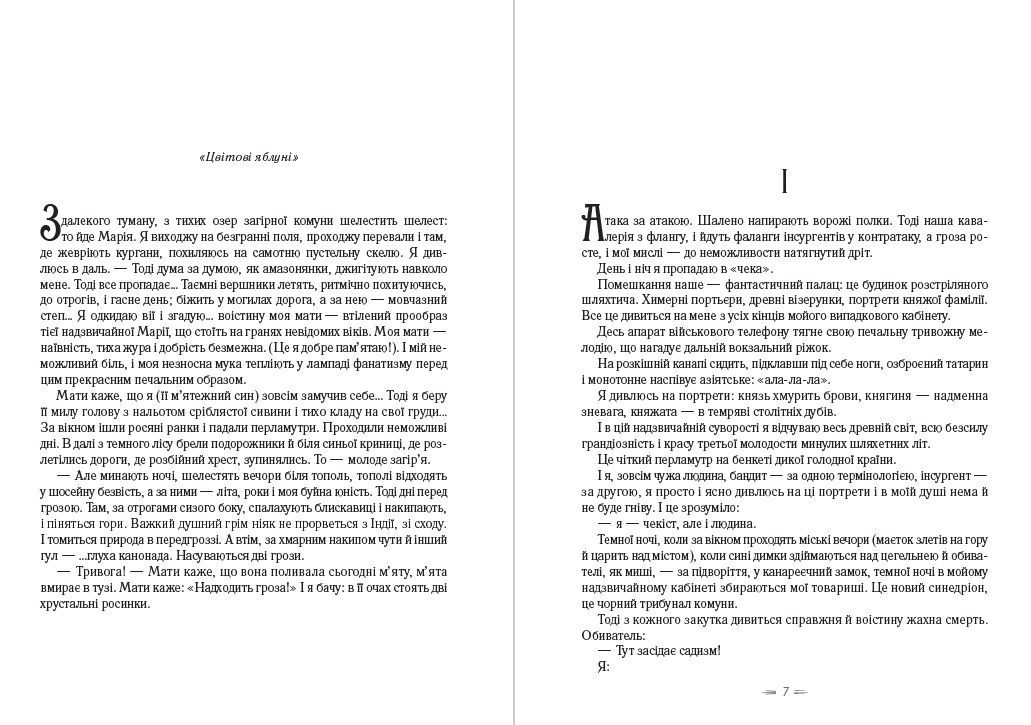 Книга Я (Романтика). Вибрані твори. Іван Іванович. Сентиментальна історія. Повість про санаторійну зону. Дорога й ластівка Микола Хвильовий обкладинка 6