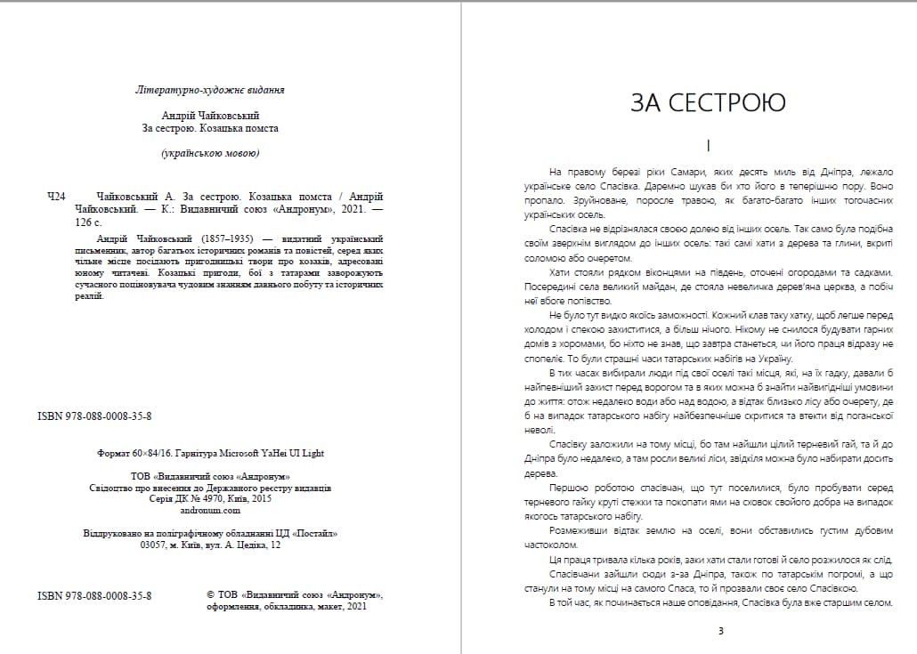 Книга Андрій Чайковський – За сестрою. Козацька помста обкладинка 4