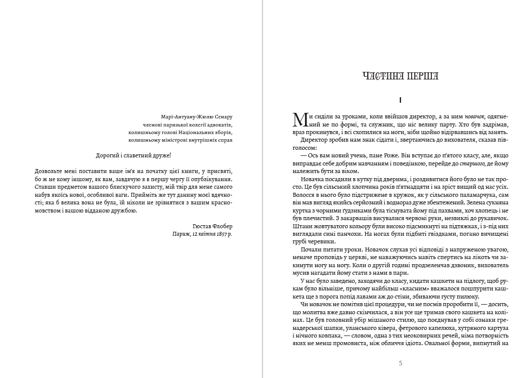 Книга Гюстав Флобер – Пані Боварі обкладинка 5