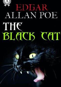 Книга The Black Cat  Edgar Allan Poe epub pdf fb2 формат обкладинка