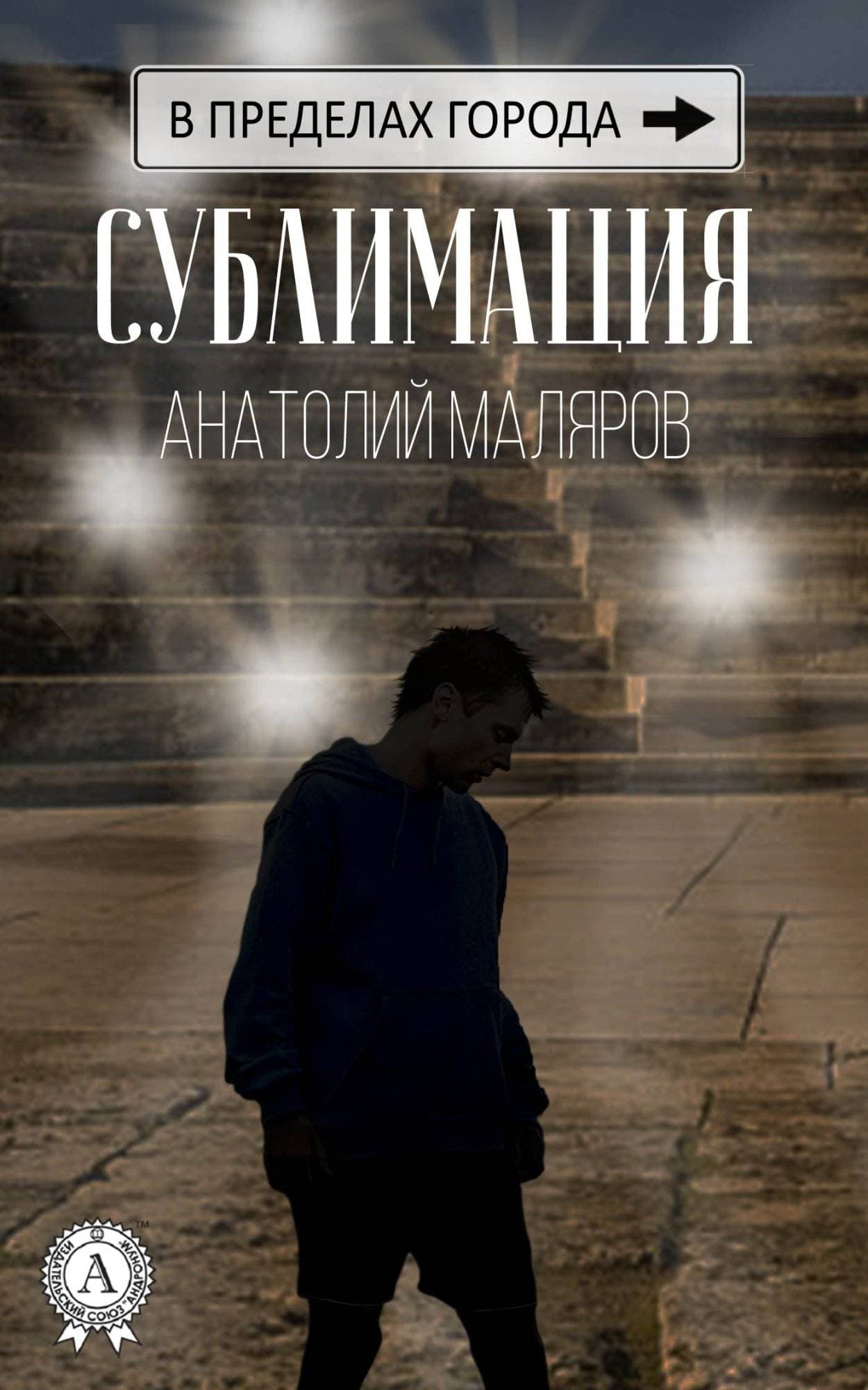 Книга Сублимация Анатолий Маляров epub pdf fb2 формат обкладинка 3