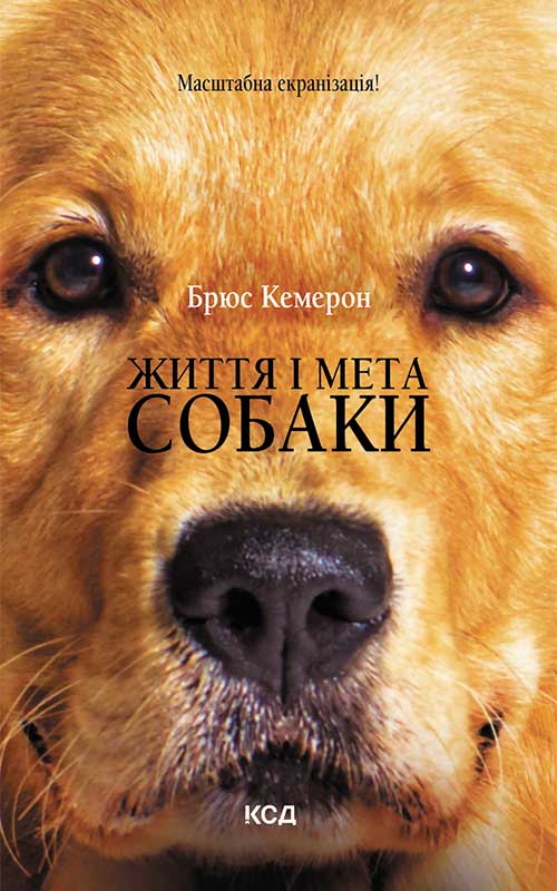 Книга Життя і мета собаки Брюс Кемерон epub pdf fb2 формат фото 3 Книга Життя і мета собаки Брюс Кемерон epub pdf fb2 формат обкладинка 3