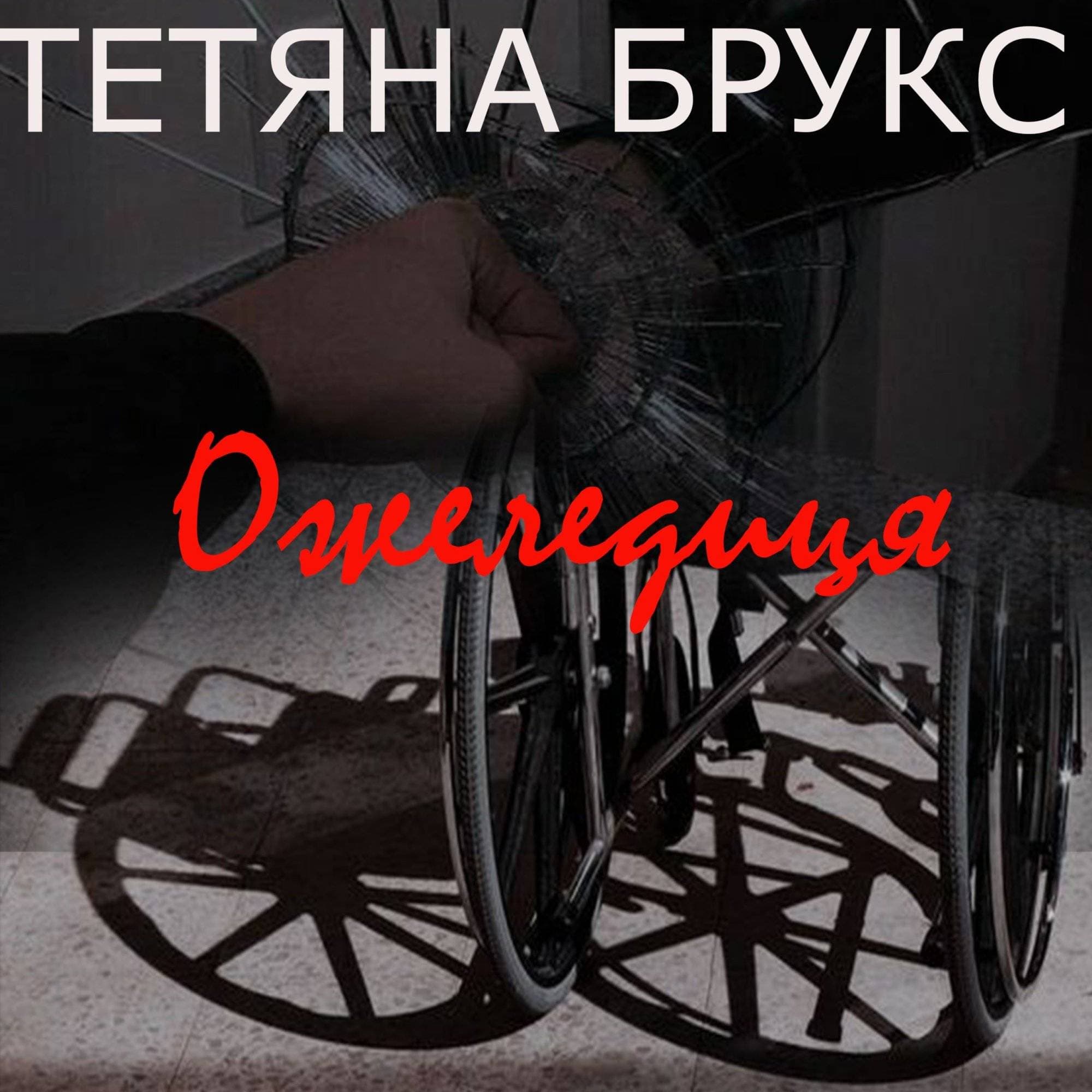 Книга Ожеледиця Тетяна Брукс аудіокнига фото 3 Книга Ожеледиця Тетяна Брукс аудіокнига обкладинка 3