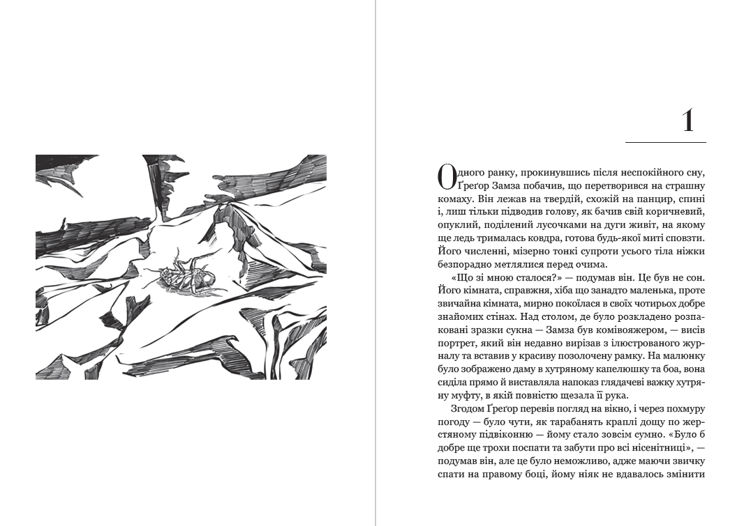 Книга Перевтілення. Ілюстроване видання фото 5 Книга Перевтілення. Ілюстроване видання обкладинка 5