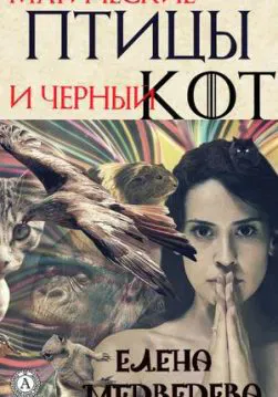 Книга Магические птицы и чёрный кот – Медведева Елена обкладинка